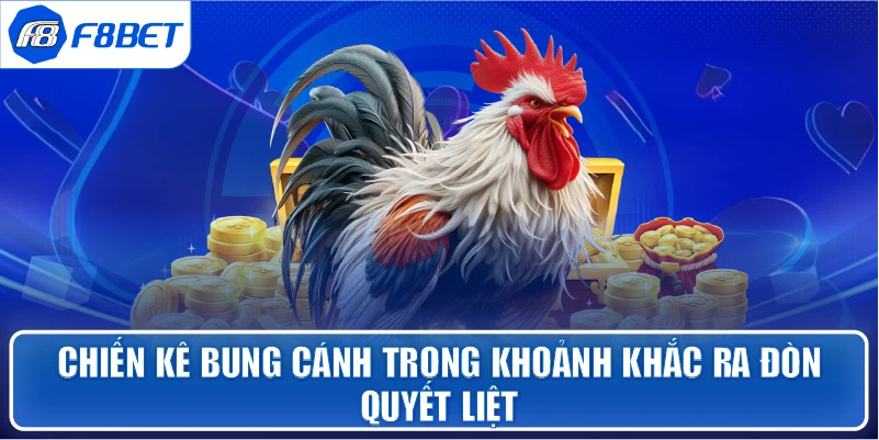 Chiến kê bung cánh trong khoảnh khắc ra đòn quyết liệt