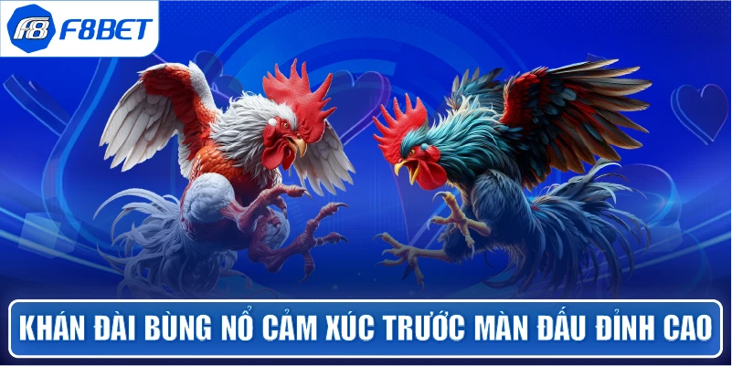 Khán đài bùng nổ cảm xúc trước màn đấu đỉnh cao